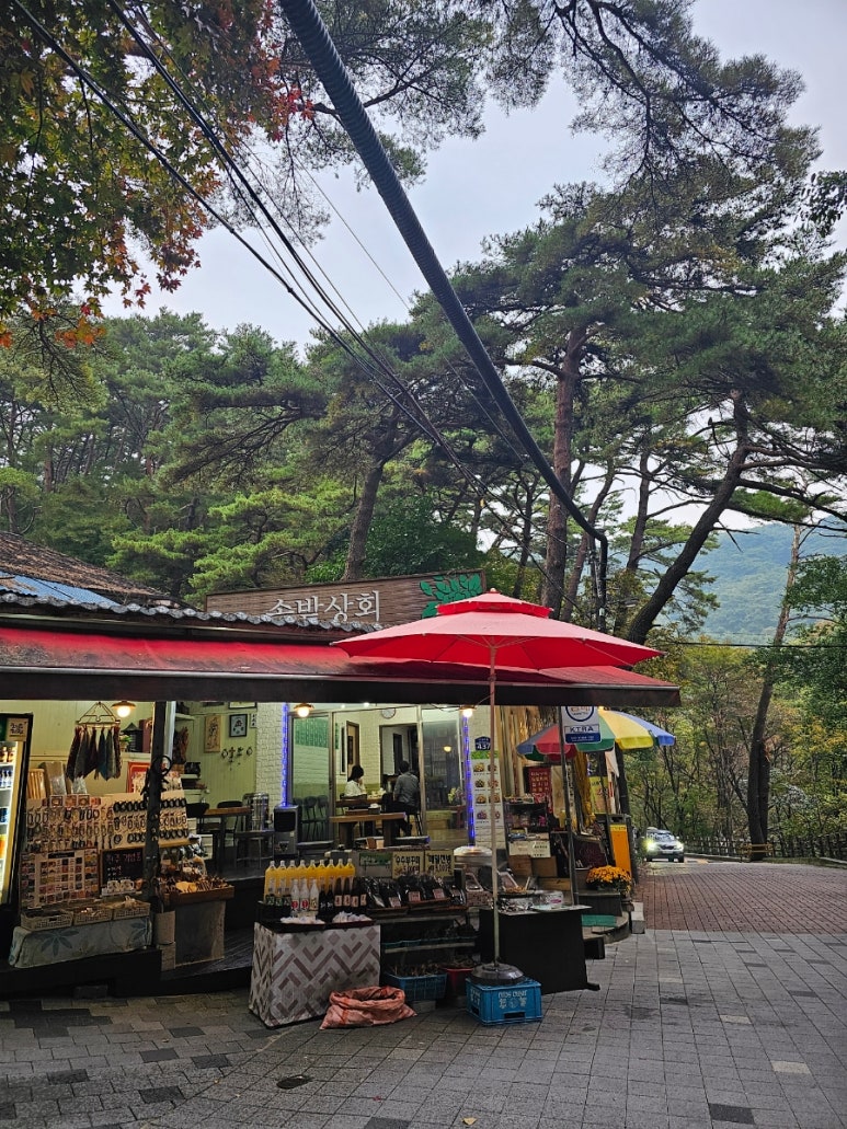 솔밭상회 이미지
