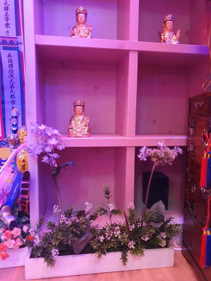 수연사 이미지