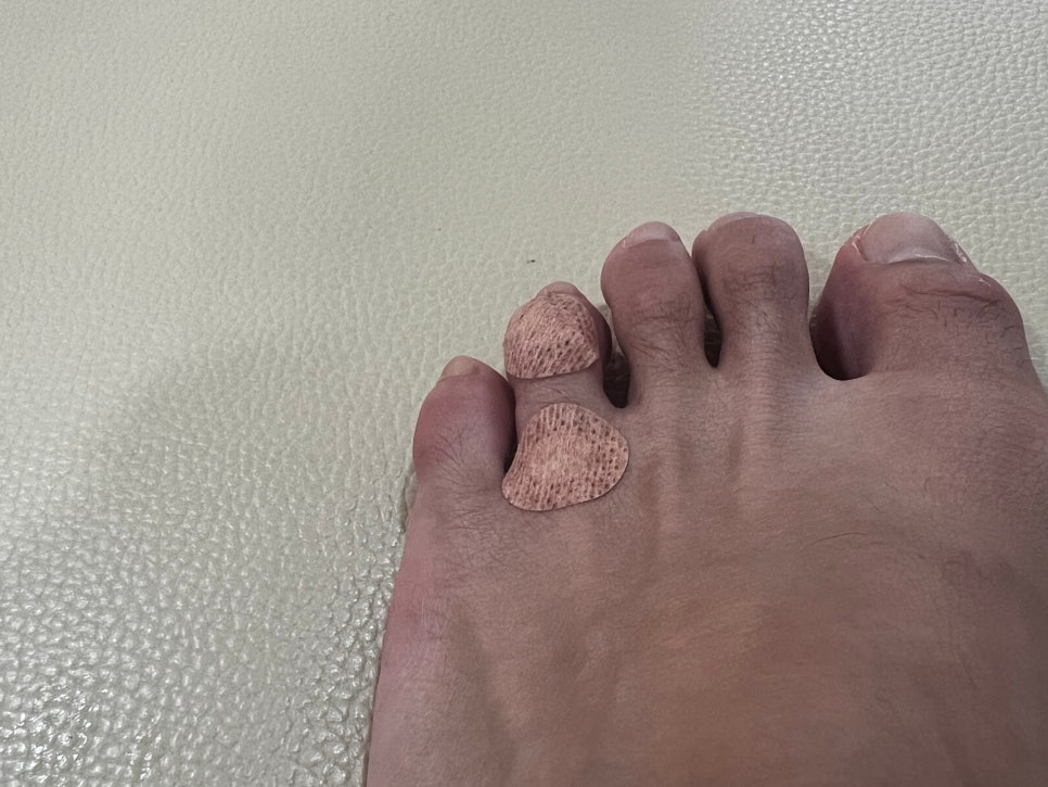 스파이더영주점 이미지