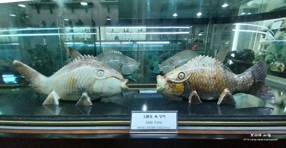 서한장갑 이미지