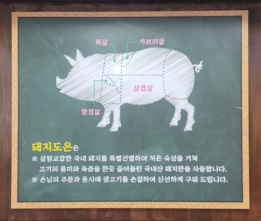 돼지도온 이미지
