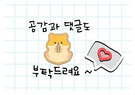 바오헤어(Bao hair) 이미지