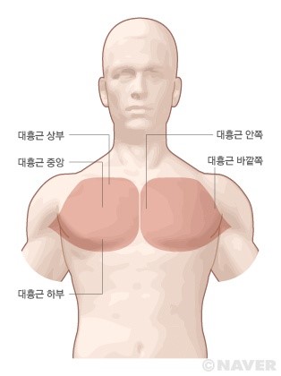 더블에스플라이 이미지