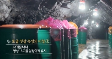 보령토굴젓갈 이미지