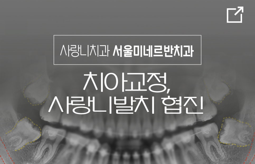 코스치과의원 이미지