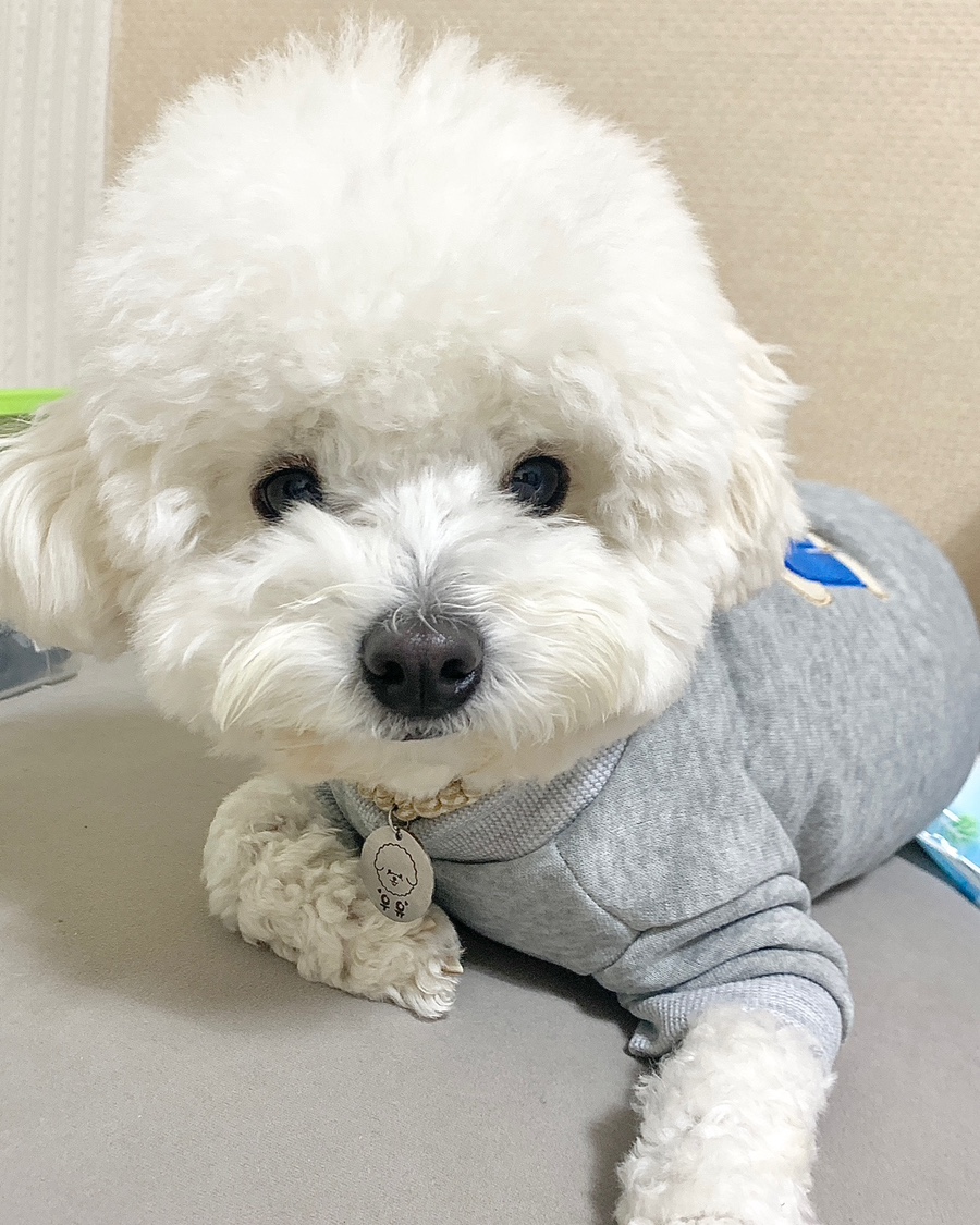 유올 이미지