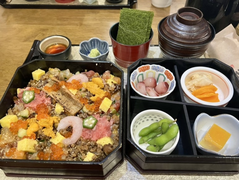 시라시스 이미지