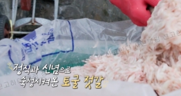 보령토굴젓갈 이미지