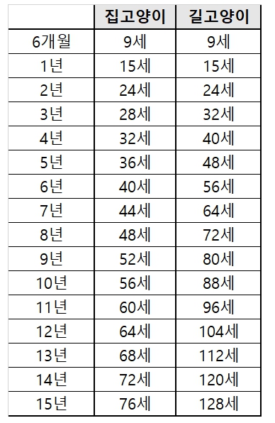 스쿼럴 이미지