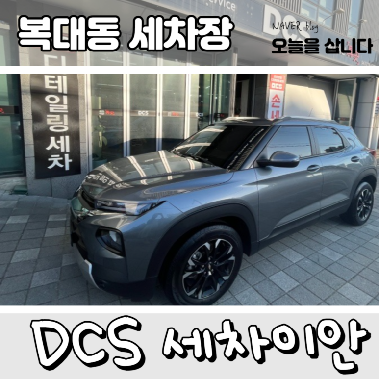 세차이안DCS 이미지
