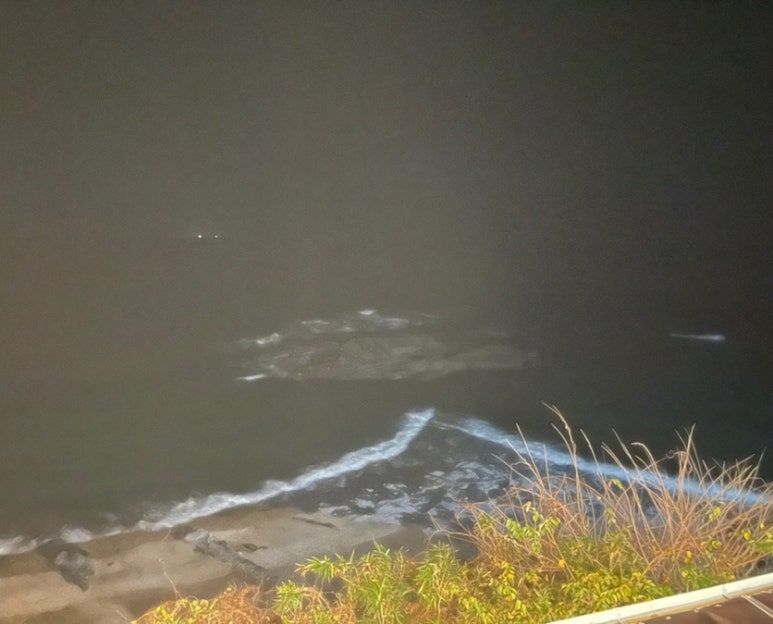 변산농협 격포하나로마트 이미지