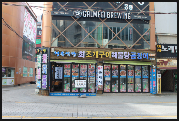 해품조개 이미지
