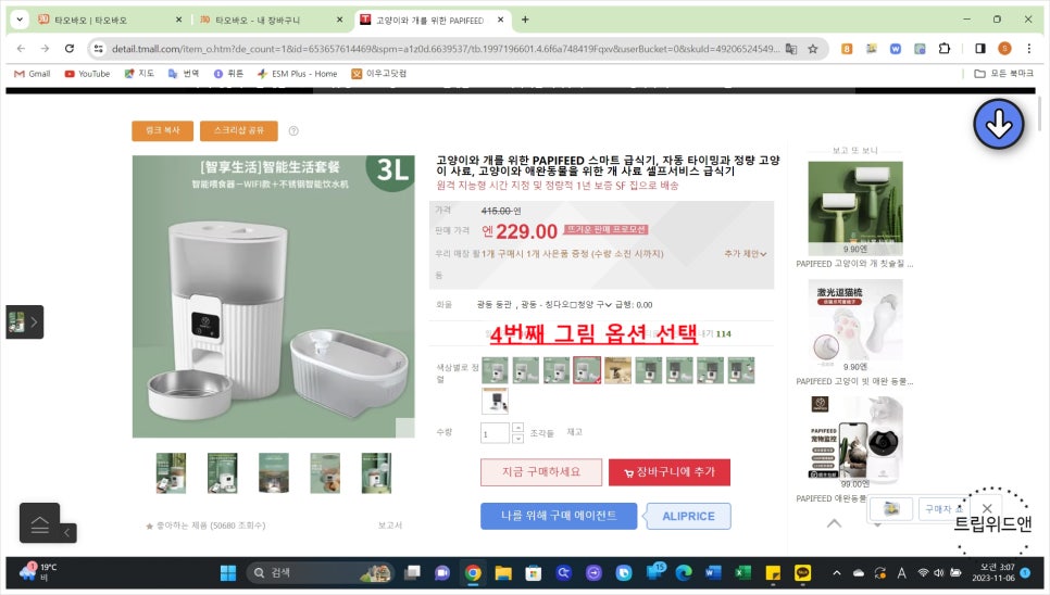 트립위드앤 이미지