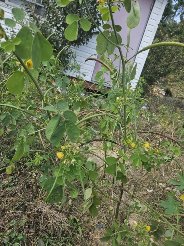 오만가지천냥 이미지