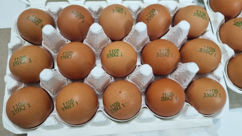 소원의항구 이미지