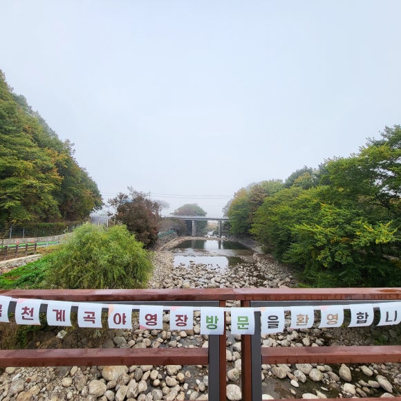금천계곡 야영장 이미지