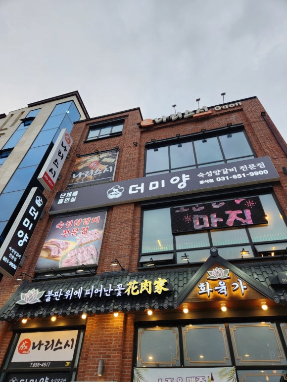 더미양 이미지