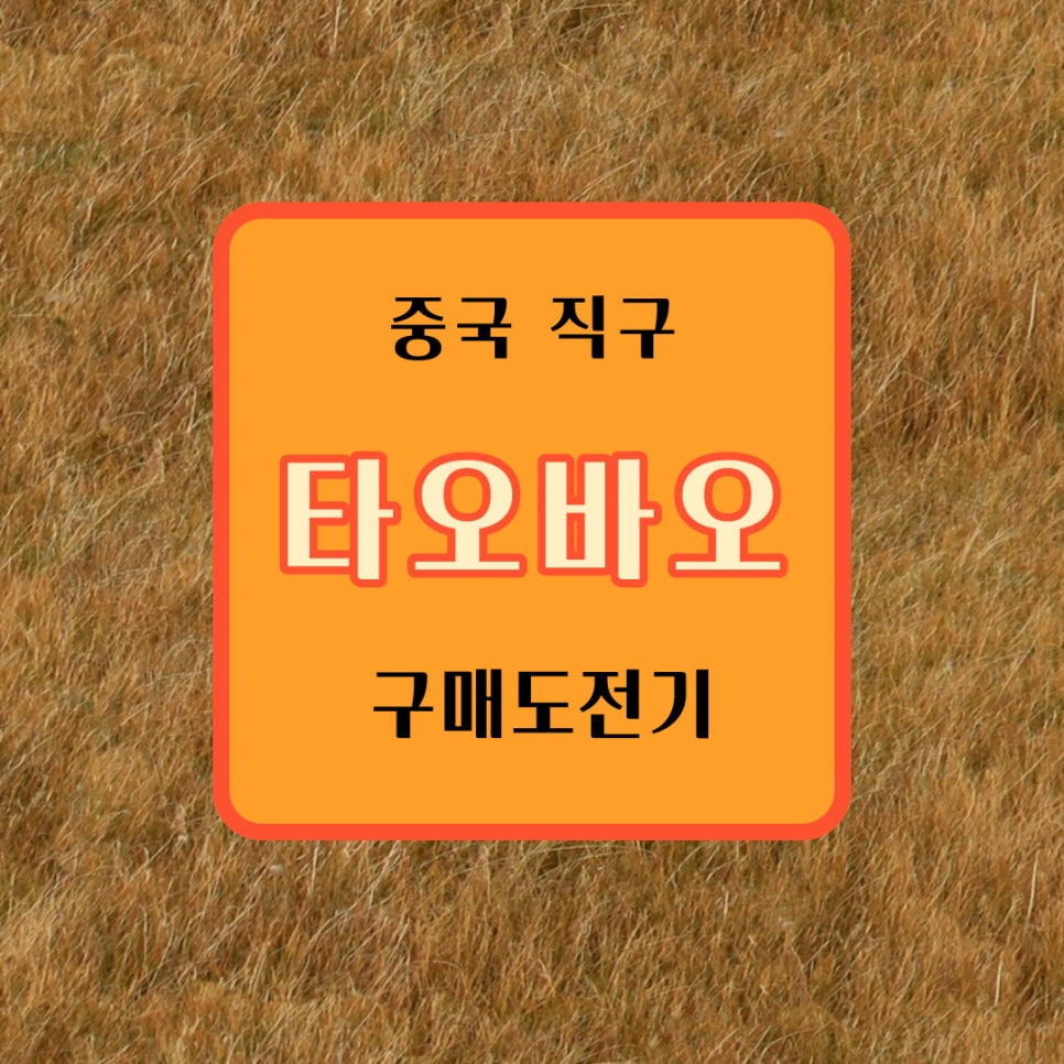 트립위드앤 이미지