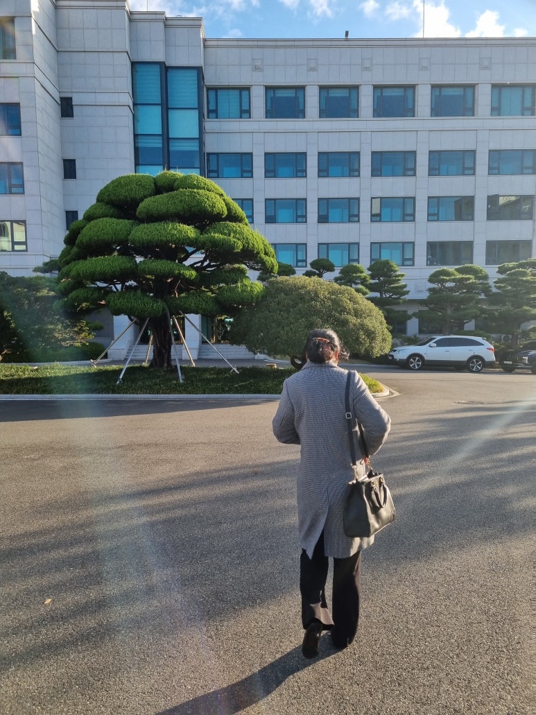 송일관 이미지