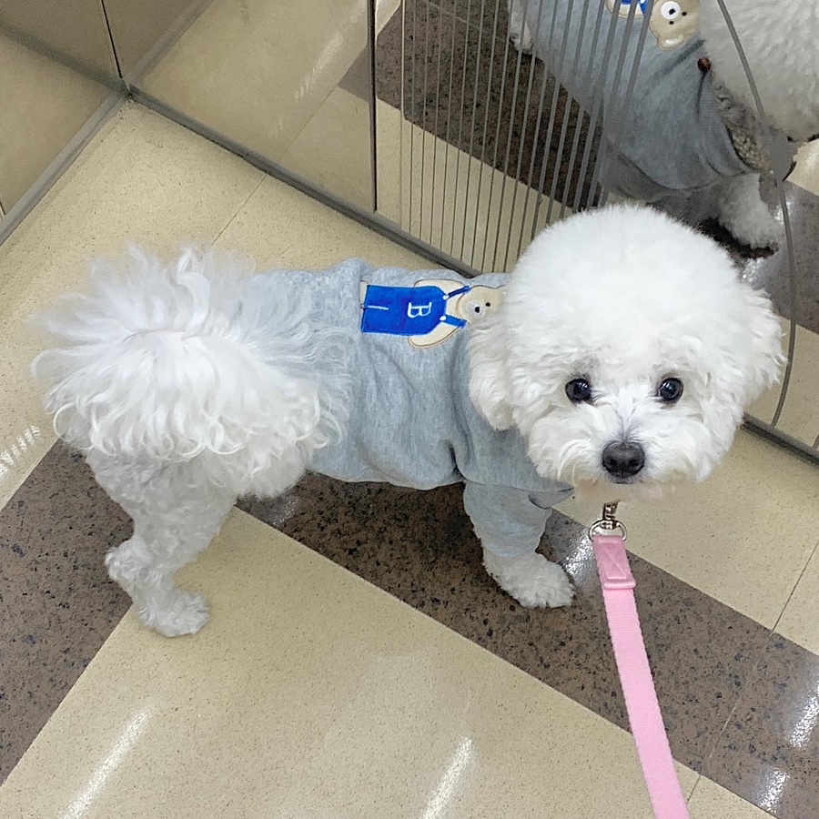 유올 이미지