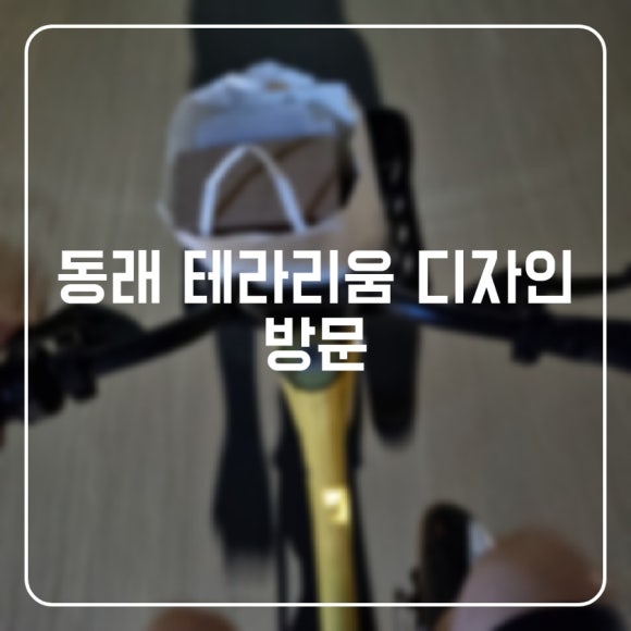 디자인SNR 이미지