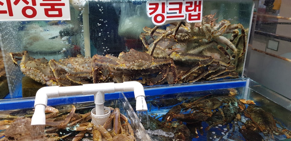 가락활어회센터 이미지