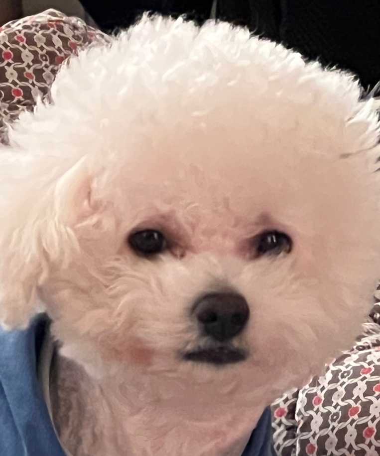 리안헤어 강남일원점 이미지