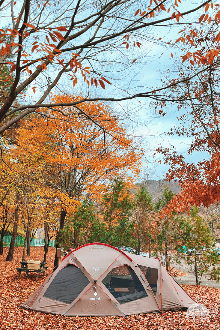 횡성군 병지방 오토캠핑장 이미지