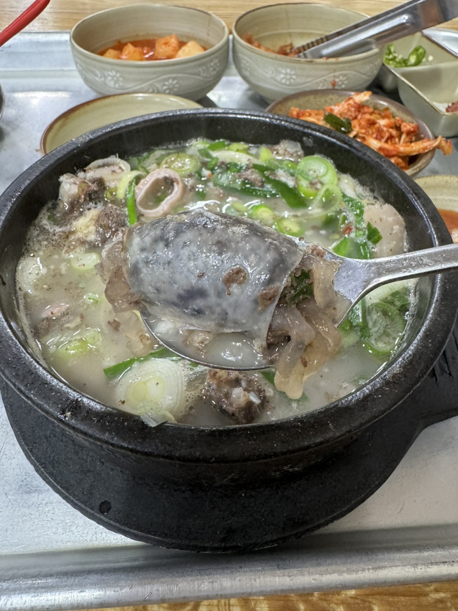 마로니에국밥 이미지