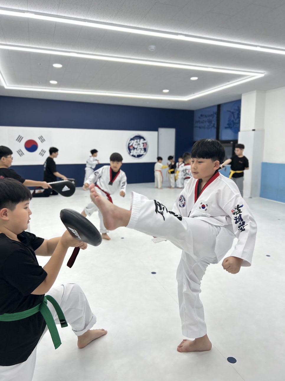 성연미트 이미지