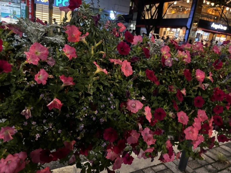 마중게스트하우스 이미지