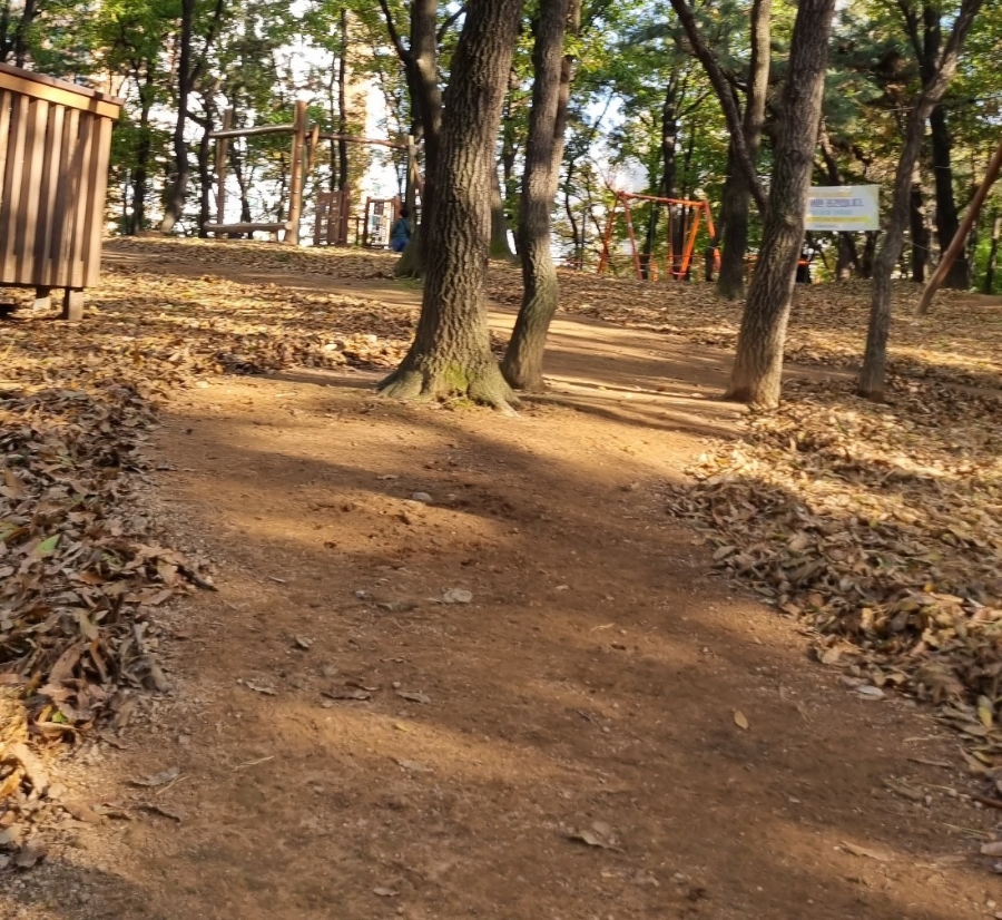 전재울근린공원 유아숲체험원 이미지