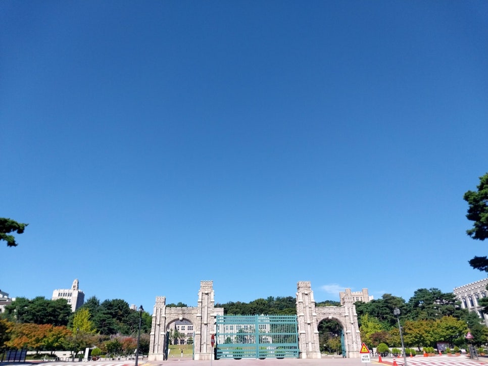 원텔 이미지