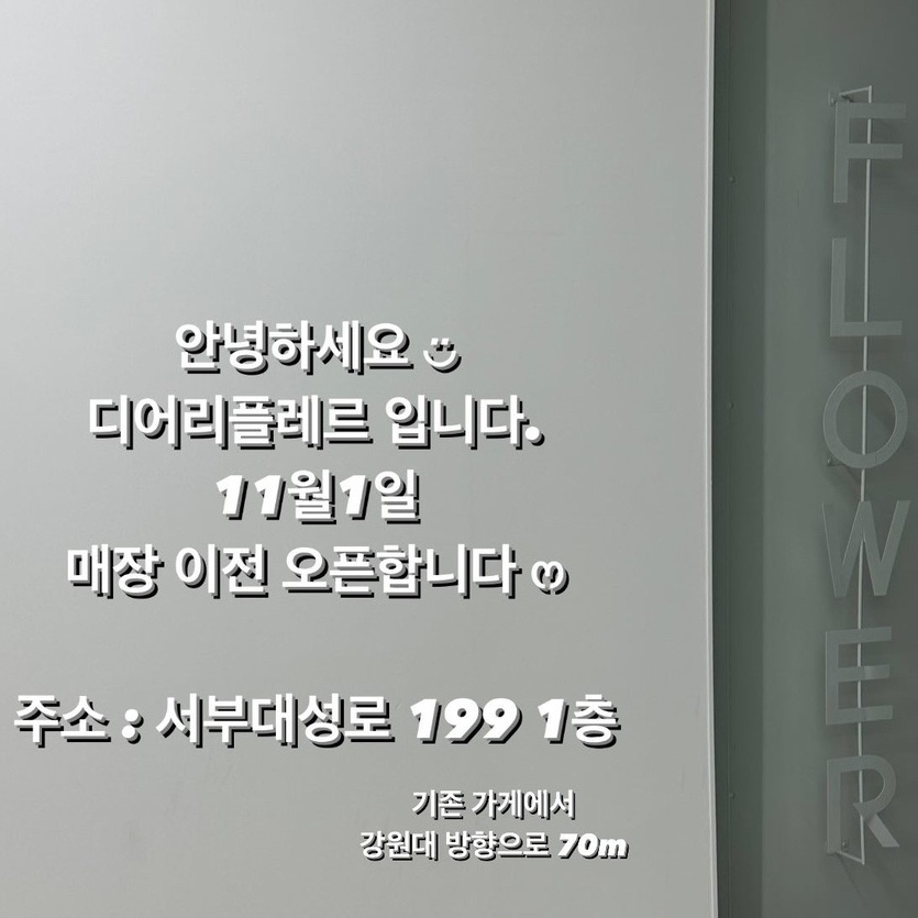 디어리플레르 이미지
