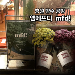 엠에프디(mfd) 이미지