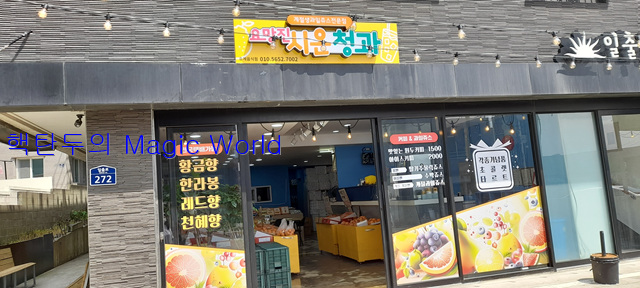 시온청과 이미지