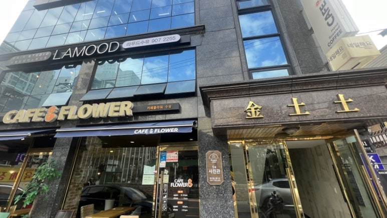 라무드헤어 이미지