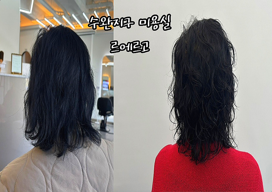 르에르고 이미지