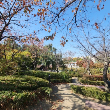 삼일커피 이미지