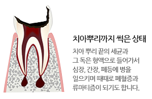 잠실원치과의원 이미지