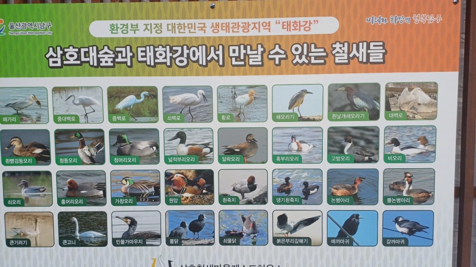 떼까마귀게스트하우스 이미지