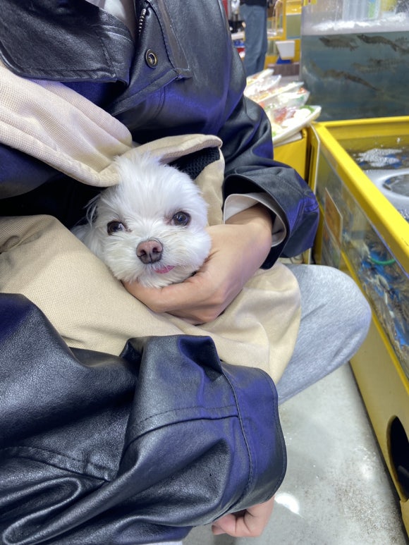 오빠네농수산물 이미지
