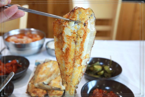동해곰치 이미지