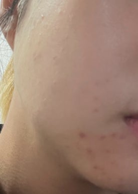 포항다나 이미지