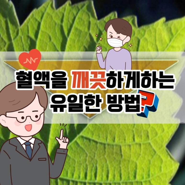 트루그린 이미지