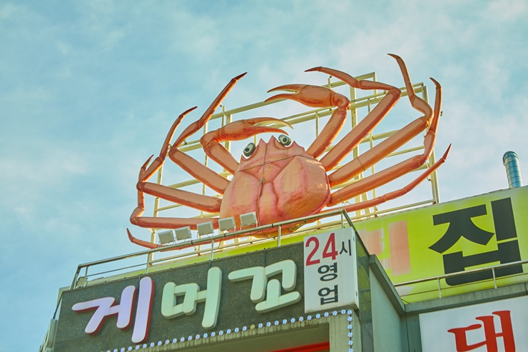 속초할머니횟집 이미지