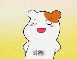 성원사진여행 이미지