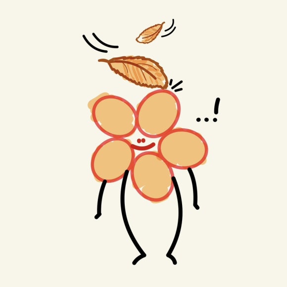 소담이야기 이미지