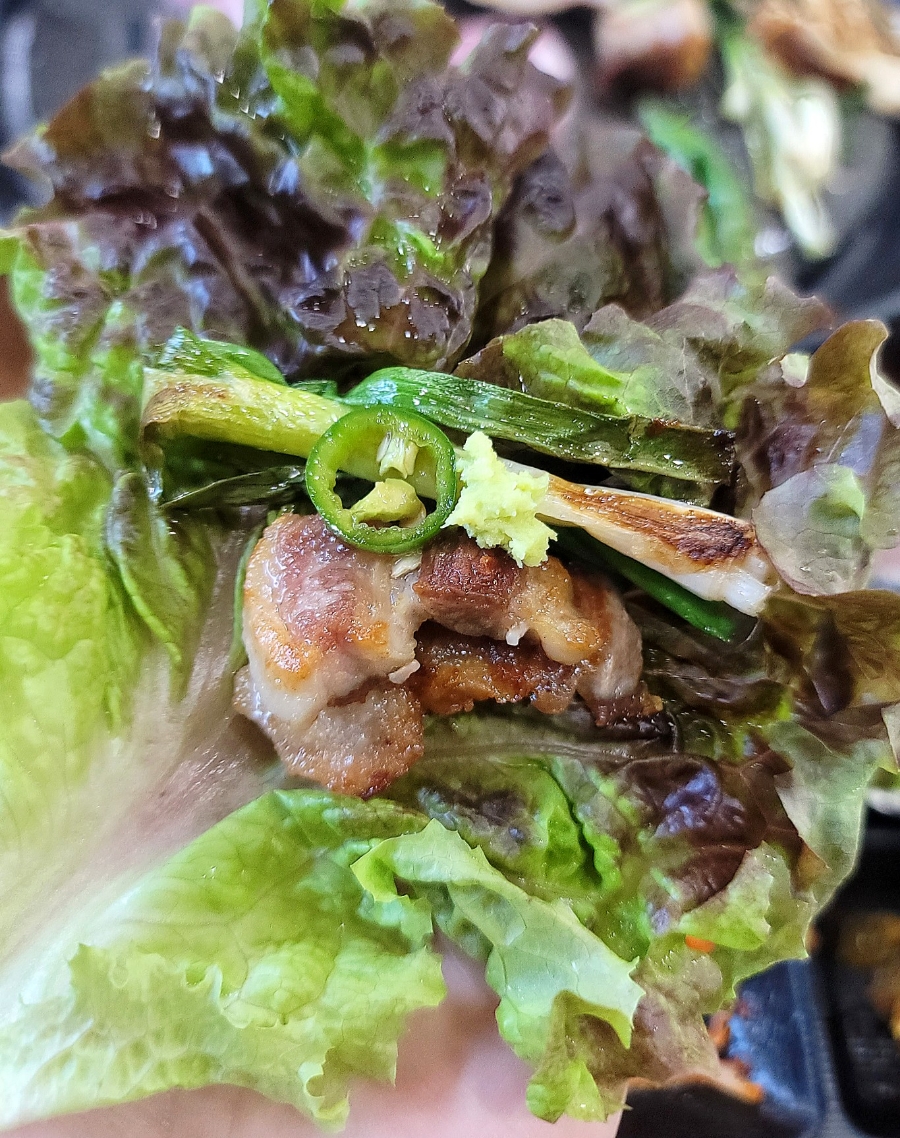 돼지도온 이미지
