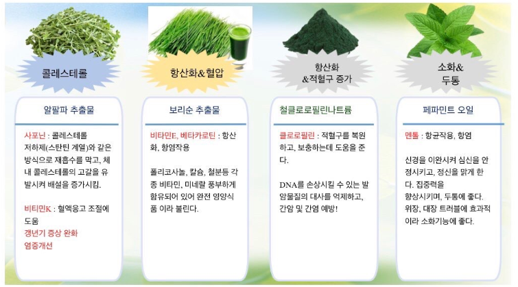 트루그린 이미지